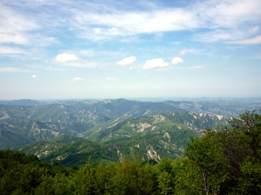 zdjęcie panorama